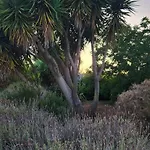 Capperi - Pool And Relax *